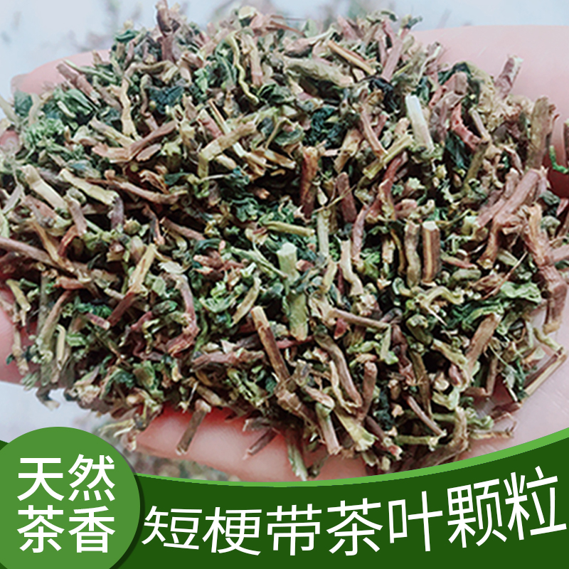 精选铁观音带叶茶梗装修新房新车去甲醛去味餐饮茶大排档茶叶梗