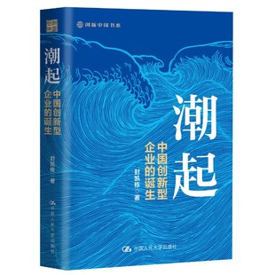 当当网 潮起：中国创新型企业的诞生 封凯栋 中国人民大学出版社 正版书籍