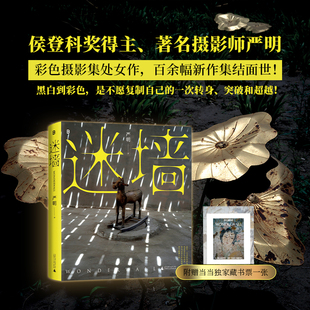 迷墙（侯登科奖得主、著名摄影师严明彩色摄影集，百余幅新作集结面世！黑白到彩色，是不愿复制自己的一次转身、突破和超越！）