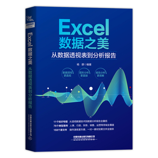 当当网 Excel数据之美：从数据透视表到分析报告 中国铁道出版社 正版书籍