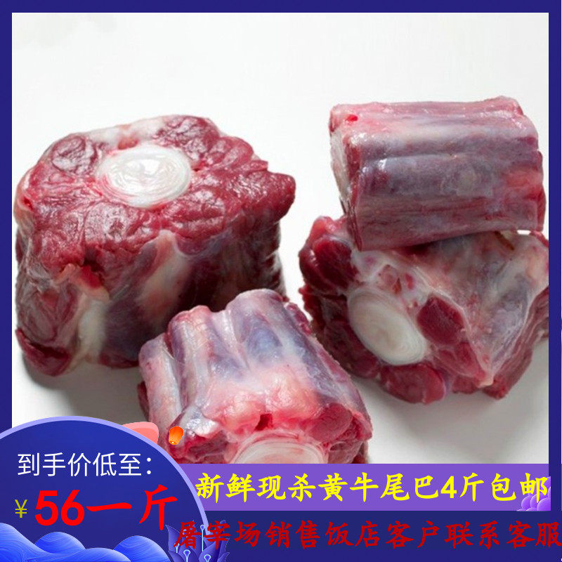 新鲜现杀老黄牛尾巴 新鲜牛尾巴 生牛尾巴整根牛尾骨切片肉多包邮