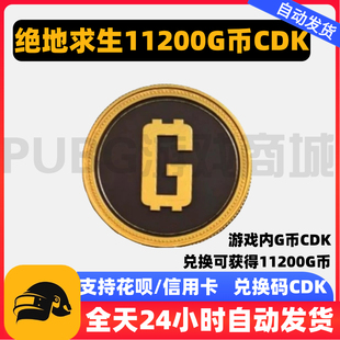 PUBG绝地求生11200G币G-COIN货币CDK兑换码游戏币吃鸡G币点卷充值