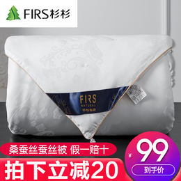 蚕丝被100桑蚕丝冬被加厚保暖单双人春秋被芯空调被四季通用被子