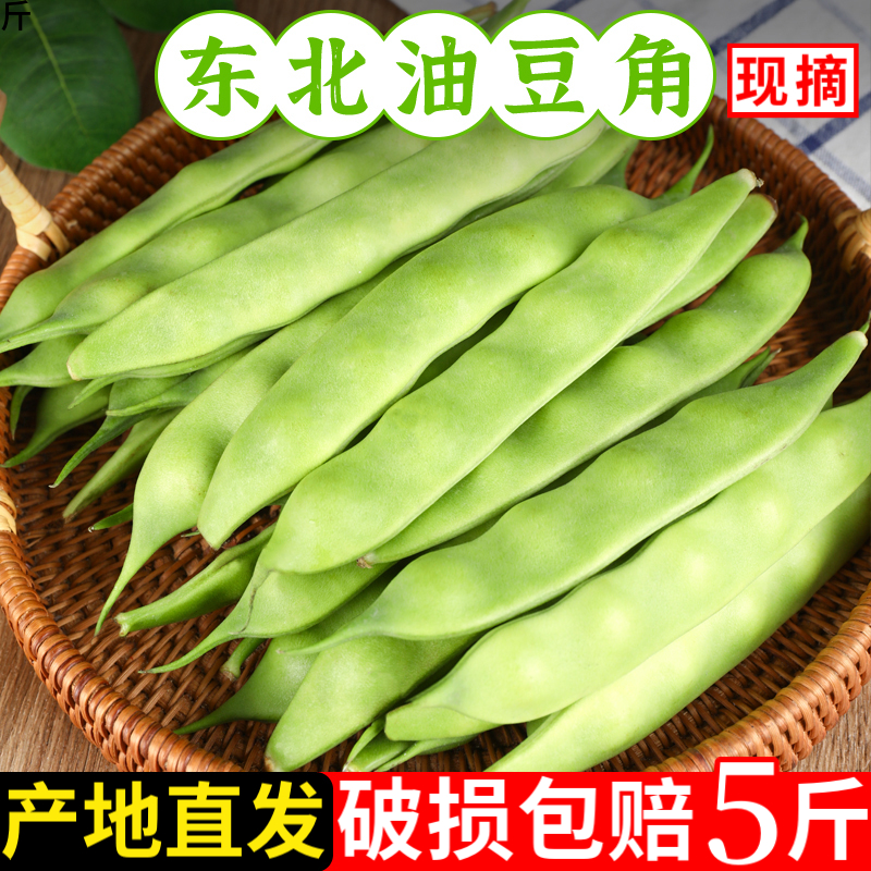 油豆角东北特产正宗九月青一点红油豆角新鲜蔬菜开锅烂面豆角现摘