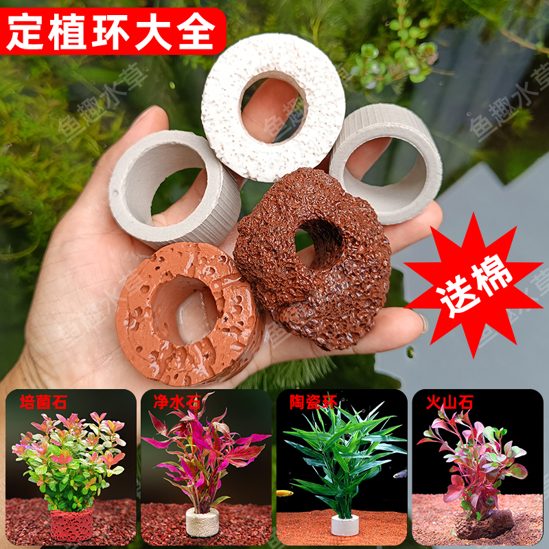 水草定植大全陶瓷定植环培菌石净水石火山石定植环大小号固定环