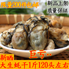 wild Large Dried oysters Dried oysters Dried oyster Oyster Drum dried food Full without sand 500g wild Large Dried oysters Dried oysters Dried oyster Oyster Drum dried food Full without sand 500g