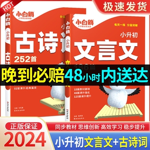 2024新版小白鸥星空小升初古诗词252首文言文186篇三四五六年级人教版小学生必背小古文语文练习册同步教材阅读理解专项训练