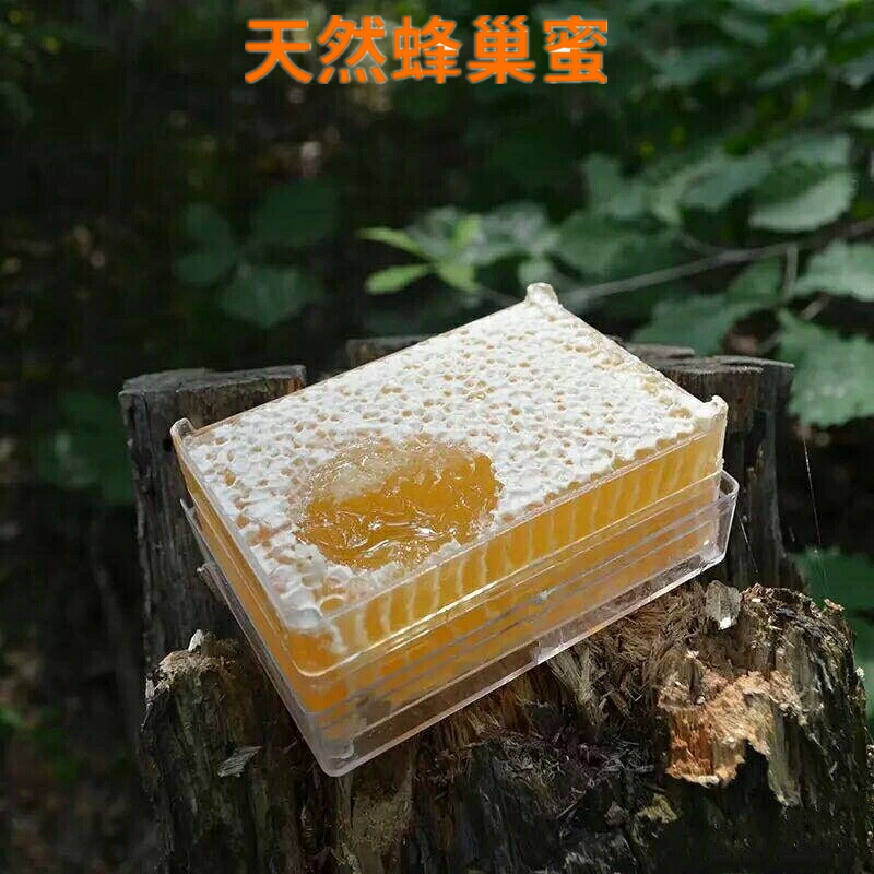完达山迎春林家黑蜂纯正野生蜂巢蜜自产500g包邮盒装正品天然生土