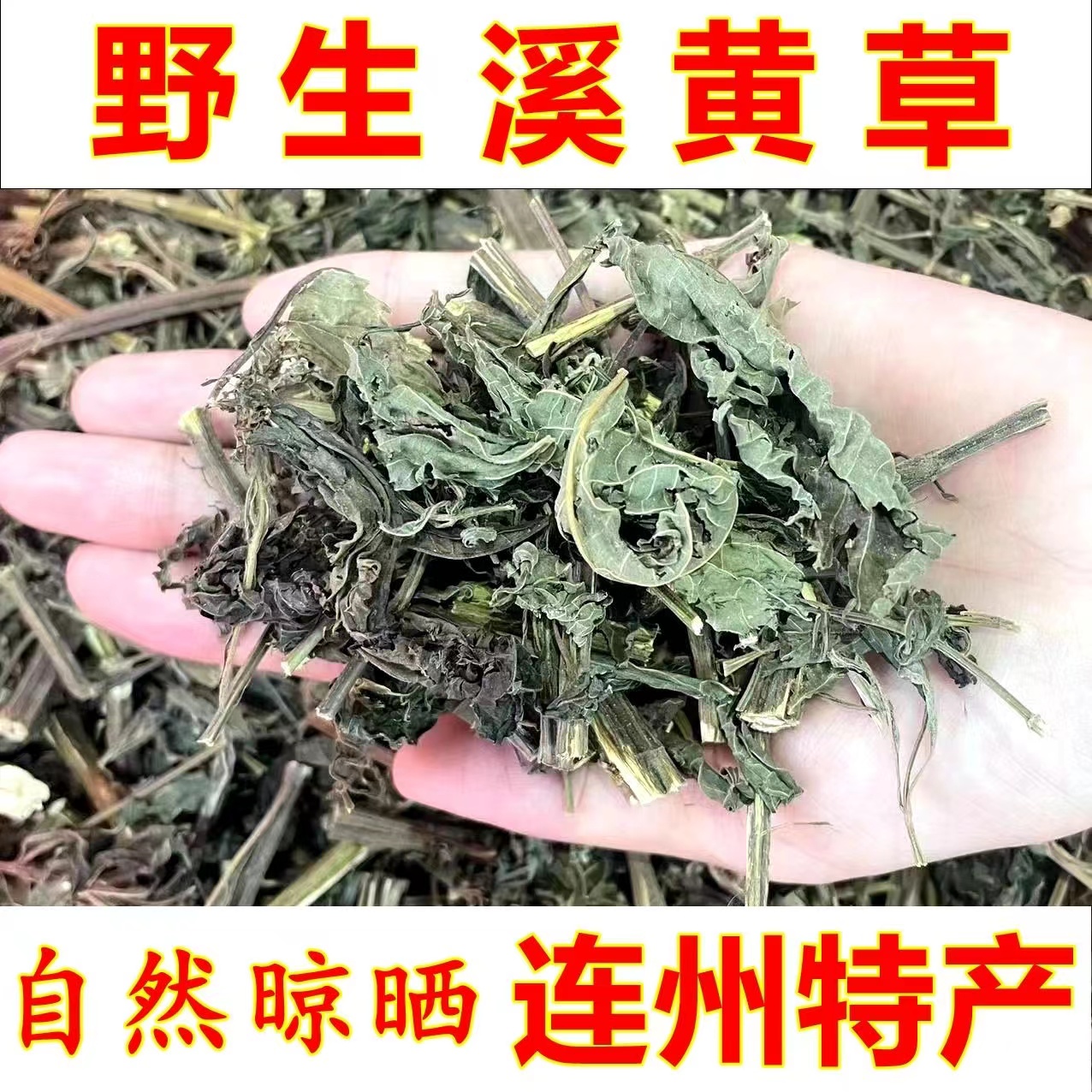 清远连州溪黄草野生新鲜自晒藤婆茶养生茶干货藤茶白茶凉茶溪黄茶