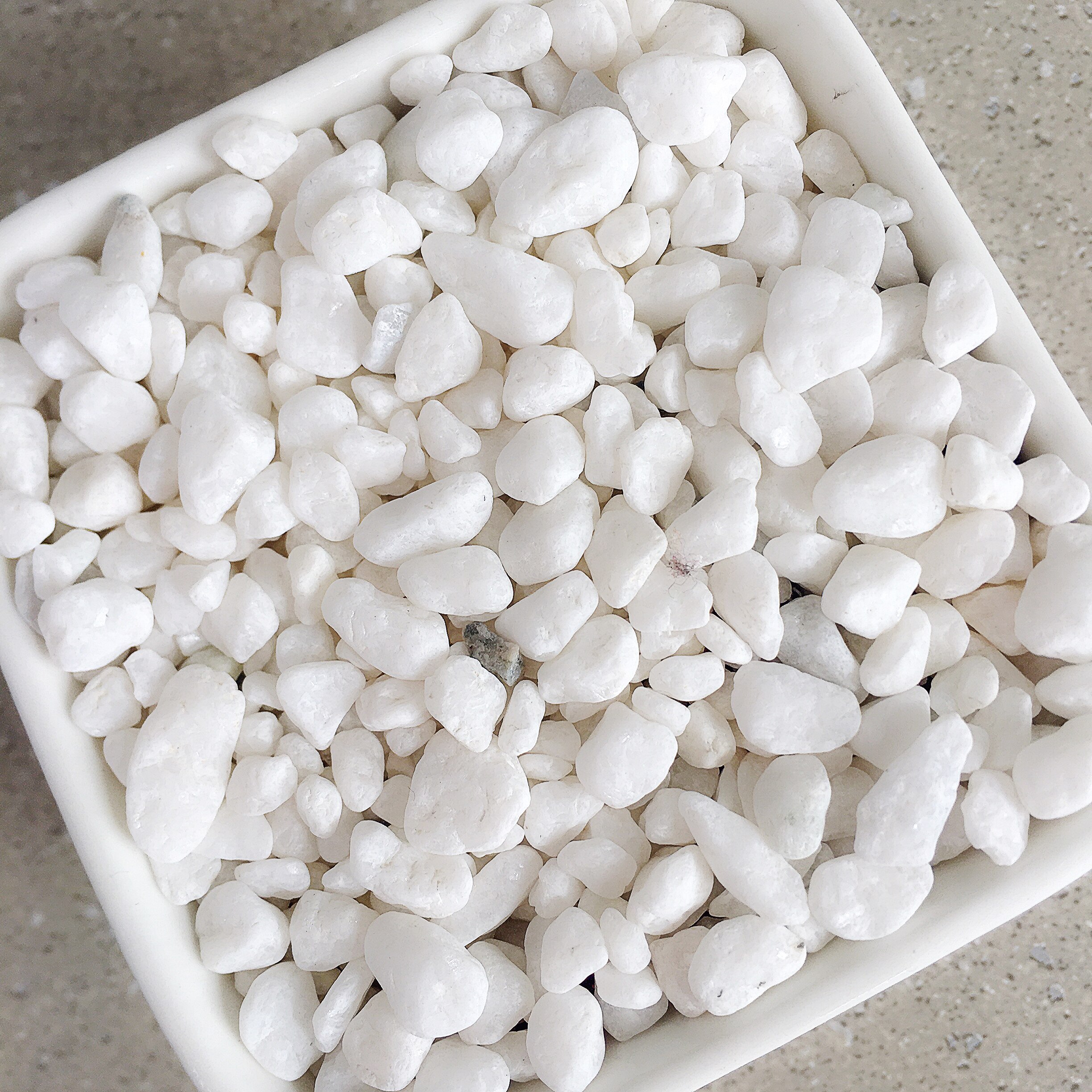 多肉植物铺面石小白石头庭院多肉植物介质透气颗粒花盆装饰热销