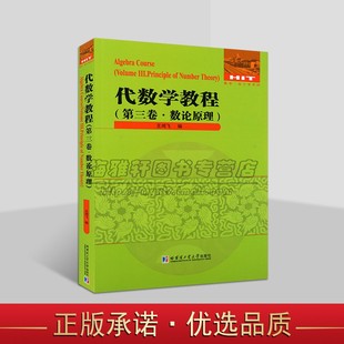 代数学教程第三卷:数论原理 王鸿飞编大中专高等院校理工科学生数学专业教材代数学教程系列丛书哈工大出版社