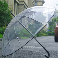升旺加厚透明雨伞日本韩国个性小清新直长柄雨伞创意自动男女情侣