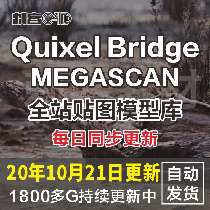 Megascan quixel/Bridge�����N�D+ģ�Ͳ��|(zh��)8K/UE4 C4D 3DMAX MAYA