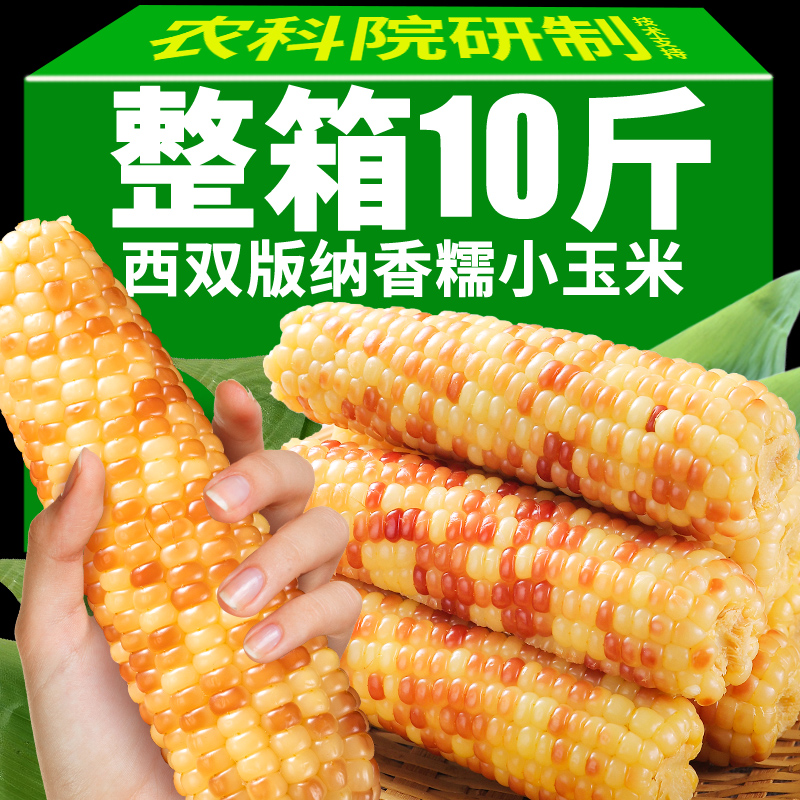 10斤云南西双版纳香糯小玉米新鲜真