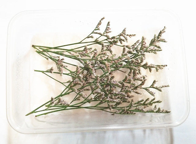 新鲜情人草 摆盘装饰 京津冀45包邮中通