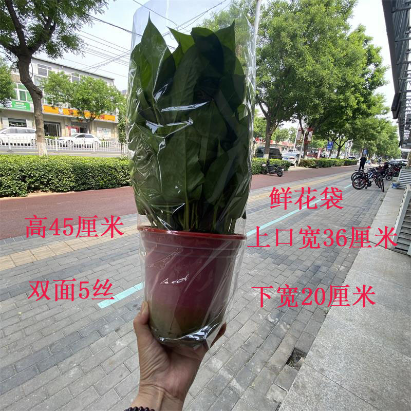 盆栽花卉绿植透明梯形花卉袋套花盆用鲜花袋保鲜袋鲜花保护袋子