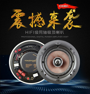 音箱吊顶喇叭 音响嵌入式 465定阻吸顶喇叭音箱 youzhuan右转yz