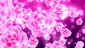 c052梦幻玫瑰花海 唯美高端婚礼晚会舞台led大