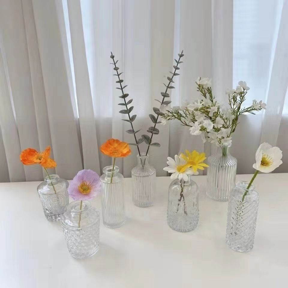 创意北欧浮雕玻璃迷你小花瓶 ins风透明水培插花花瓶桌面装饰摆件