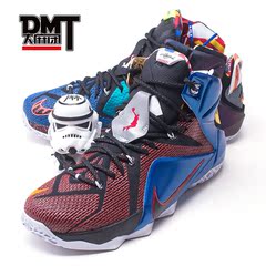 DMT Nike What The LeBron 12 LBJ12 詹姆斯12 鸳鸯 802193-909