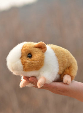 仿真荷兰猪hamster毛绒玩具公仔