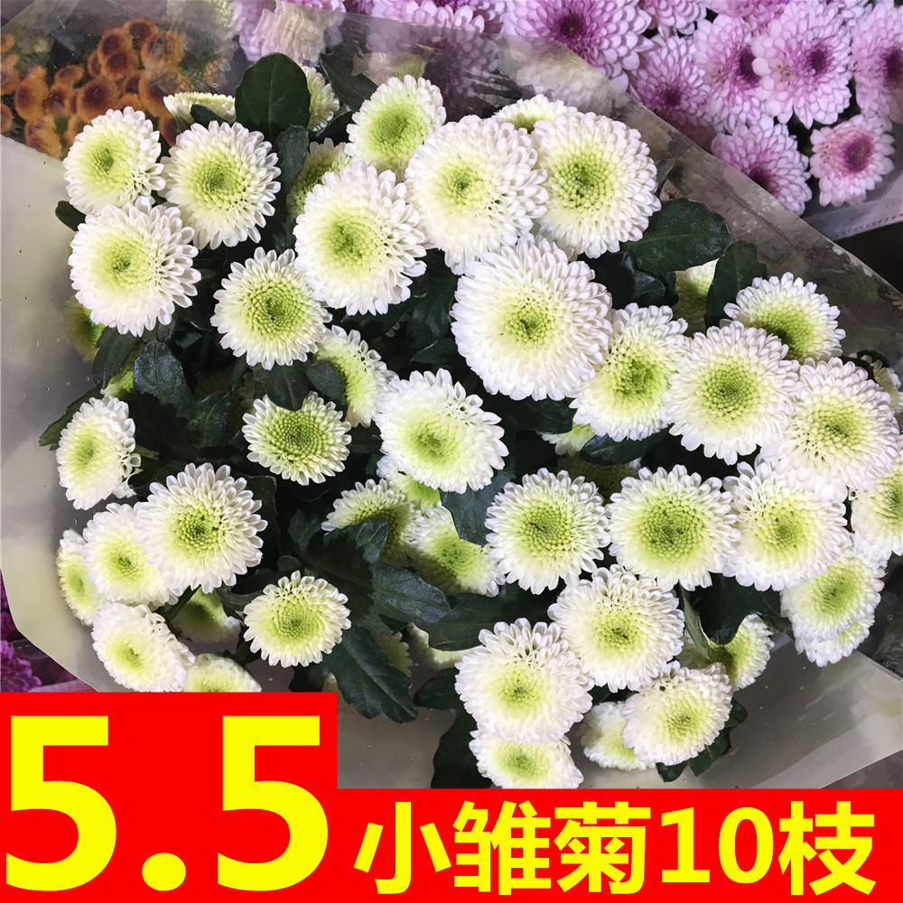 云南昆明鲜花小雏菊基地直发洋甘菊速递同城家用水养鲜切花百合