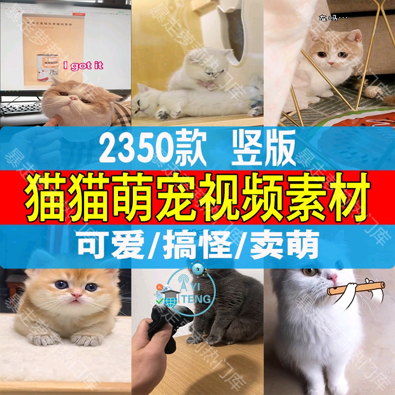 猫咪宠物短视频猫猫可爱搞笑高清抖音快手自媒体剪辑无水印素材