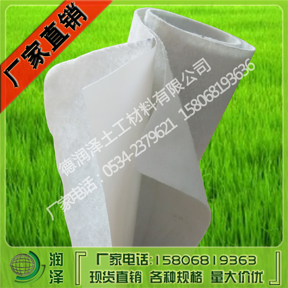 河道治理專用複合防滲土工膜‖人工湖防滲土工膜‖500克兩布壹膜在類目 基礎建材, 其它基礎建材, 基礎材料中 - 來自Buy2taobao.com提供專業的淘寶代購服務