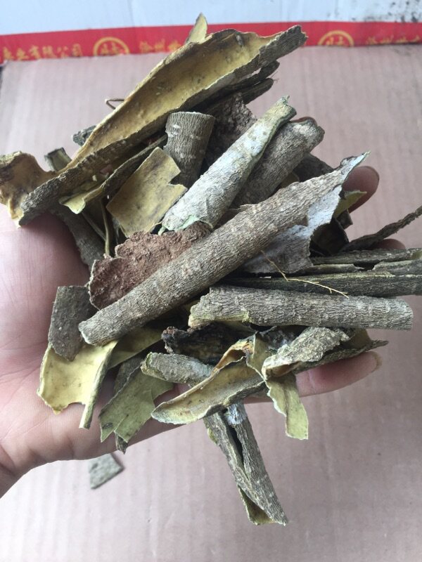 中药材薄皮白银树皮 白银树 大叶冬青 救必应 铁冬青 山熊胆500克