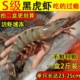 黑虎虾超大鲜活冷冻大野生海鲜水产生呛虾老虎虾基围虾斑节虾