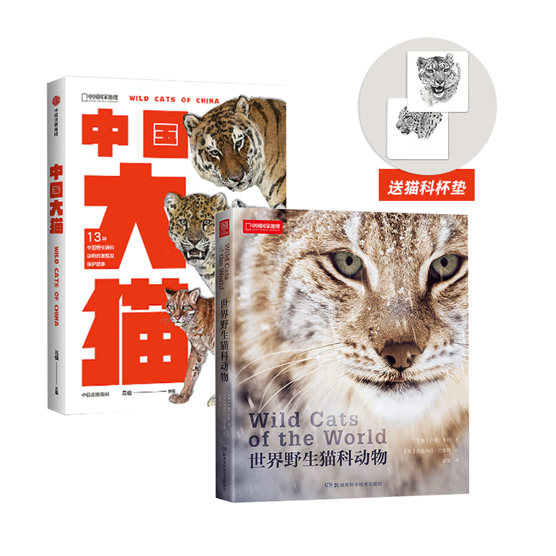 中国大猫+世界野生猫科动物 中国国家地理科普读物 猫图鉴猫百科全书