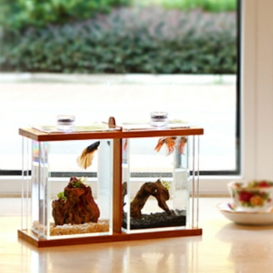 ecology Betta Super White small-scale originality desktop fish tank Mini Scenery a living room Glass Plug in rotatein the Pet/Pet food and supplies , Aqua World , Aquarium fish tanks and other equipment , Aquarium/Aquarium category - from Buy2taobao.com to provide professional Taobao agent buy service
