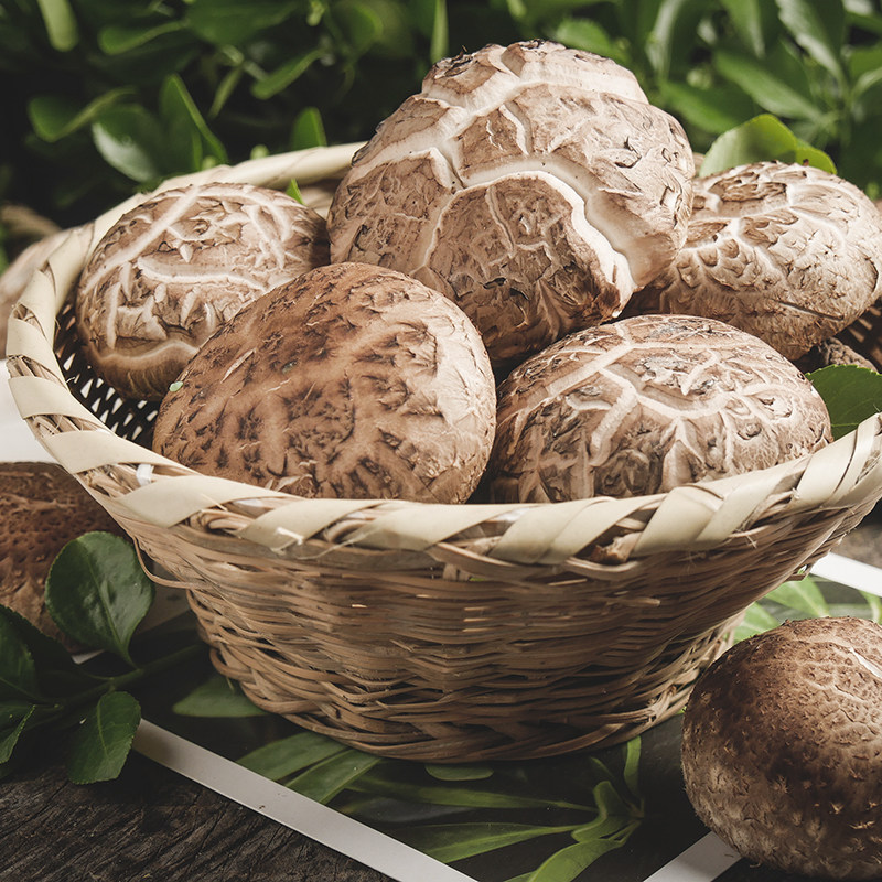 福建特产漳平大花菇258g散装远山野生食用菌营养南北干货闽南花菇