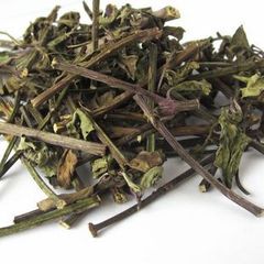 云南野生猫须草 肾茶 不老茶 排尿酸痛风茶 化石草养生茶正品包邮