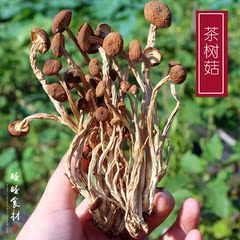 睦睦 茶树菇农家自产高品质茶树菇天然无熏留不开伞茶薪菇200g