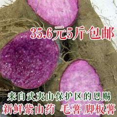 福建闽北山区特产 新鲜脚板薯 毛薯子 紫山药 大薯 紫淮山5斤包邮