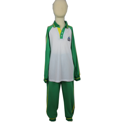 广州市番禺区小学校服春秋装新款绿色青蛙校服纯棉t恤y领班服定制