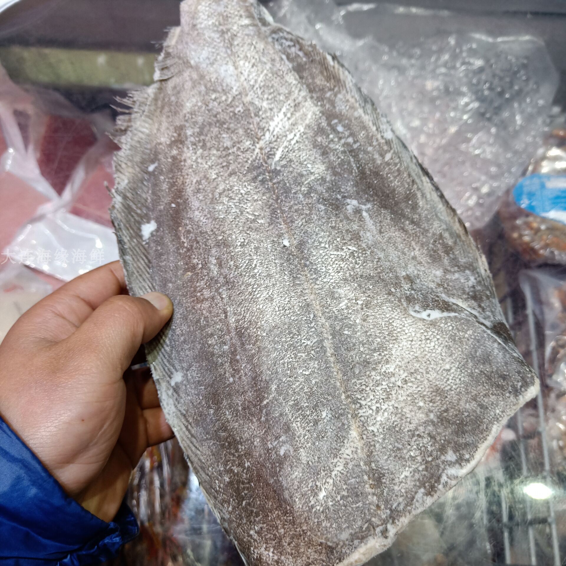 大连海缘 鲽鱼肉鲽鱼身 去头尾 称重销售 比目鱼 鸦片鱼 碟鱼