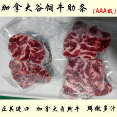 【97食铺】加拿大安格斯黑牛 牛肋条 牛腩王 全程谷饲 500克