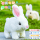 儿童电动小兔子毛绒玩具小白兔玩偶公仔女孩宠物女生生日礼物宝宝