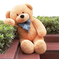 生日礼物女生大号泰迪熊大白熊公仔抱抱熊毛绒玩具布娃娃创意玩偶