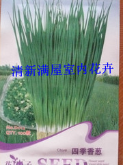 蔬菜 四级香葱菜肴必备 小葱种 100粒花卉/蔬果/草坪种子夏季春季