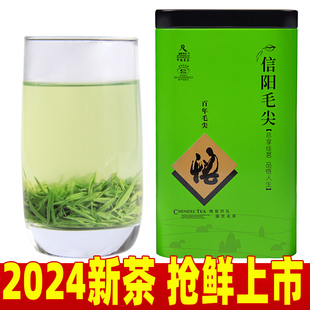 茶叶2024新茶信阳毛尖特级嫩芽高山茶250g自产自销散装绿茶