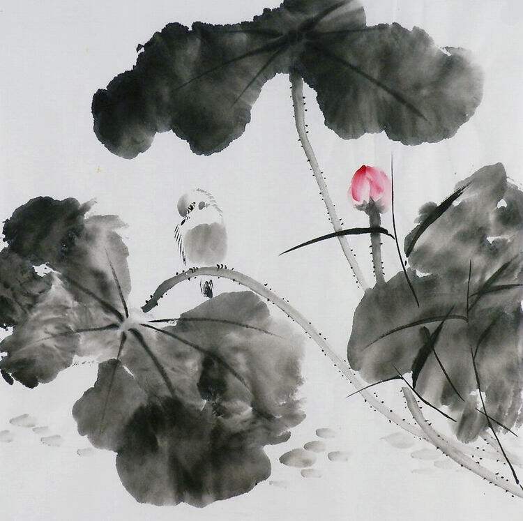 手绘字画书画客厅装饰画热销i072554三尺斗方无款国画