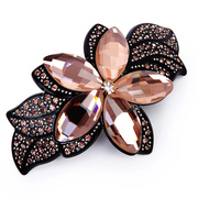 Xin Han provided with flowers hair accessories hairpin woman perfume drill plate hair clip spring clip hair accessories