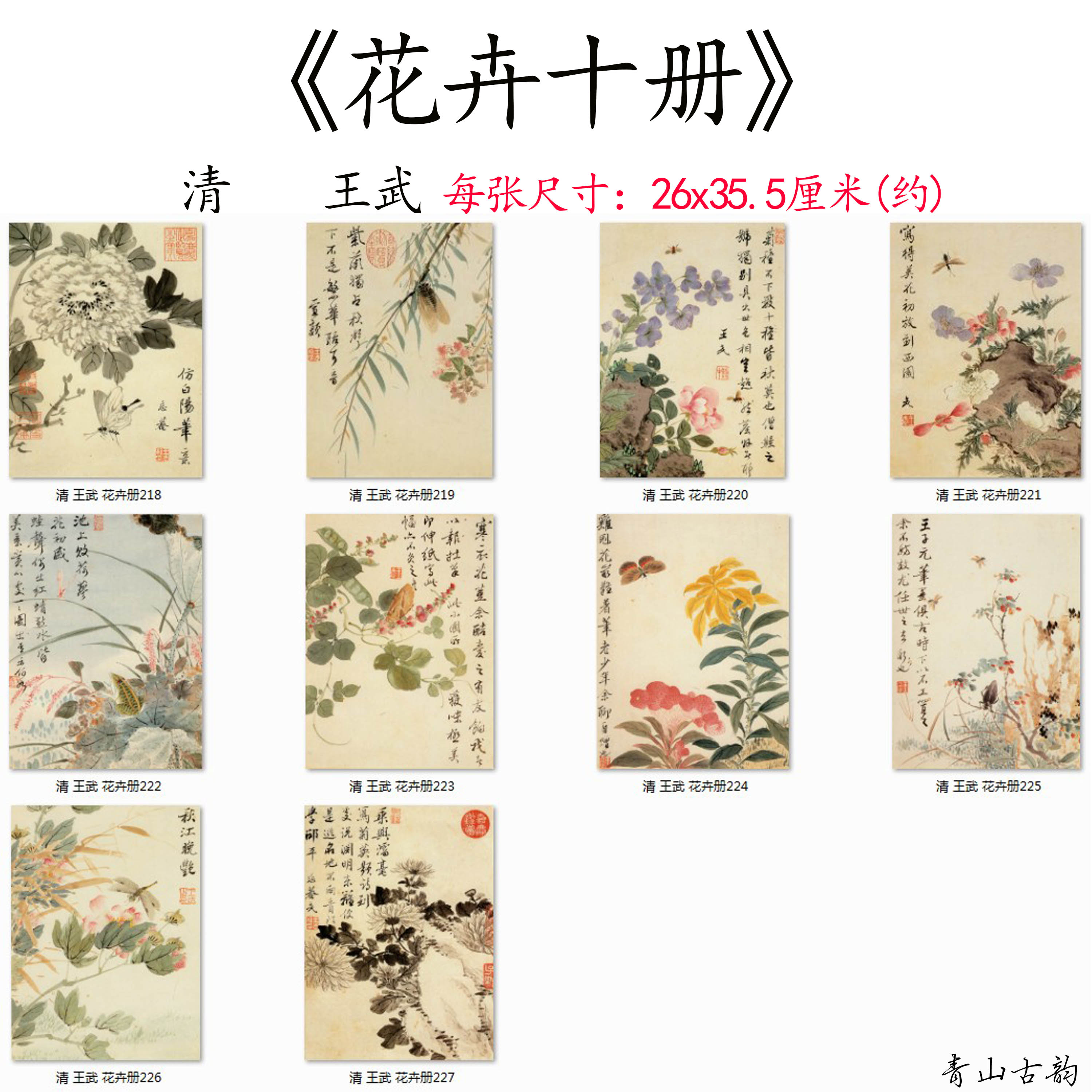 新品清代 王武 花卉十册小品斗方册