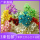 文心兰高级感真花瓶插花diy紫罗兰白色材料永生花天然干花千日红