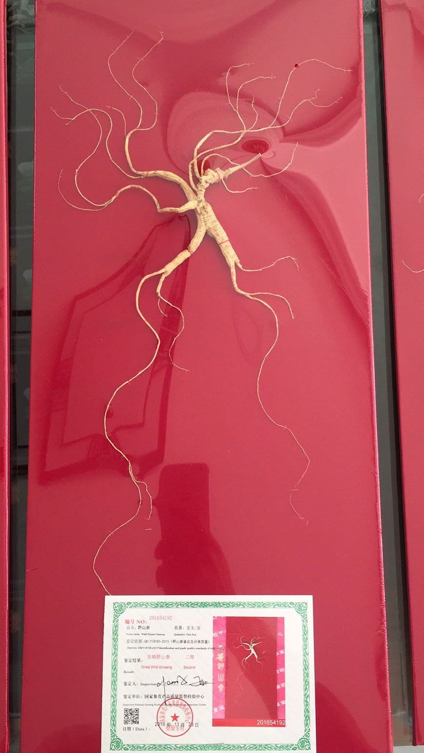 吉林 白山齐云堂参行传统滋补营养品山参/野山参更新时间:2022年04月