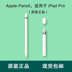 苹果/Apple Pencil iPad Pro专用手写压感触控笔 国行正品 苹果笔