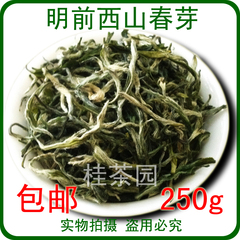 桂平西山茶 特级 2016明前春茶新茶 广西茶叶 毛尖毛峰 高级绿茶